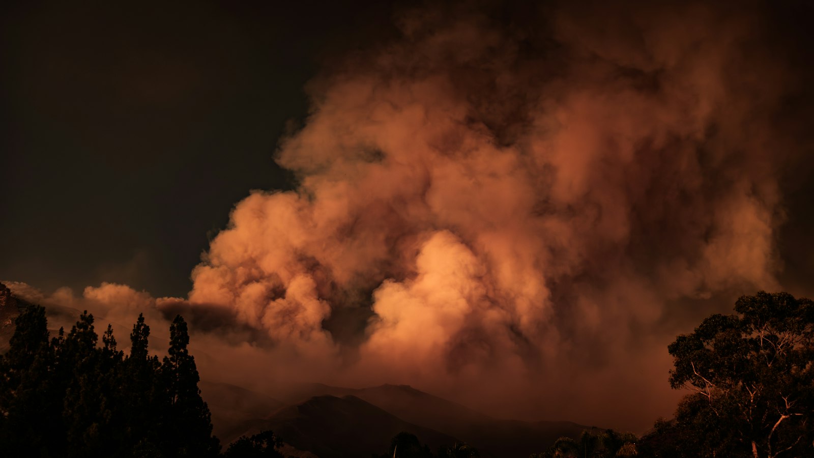 Wildfire smoke over a forest
