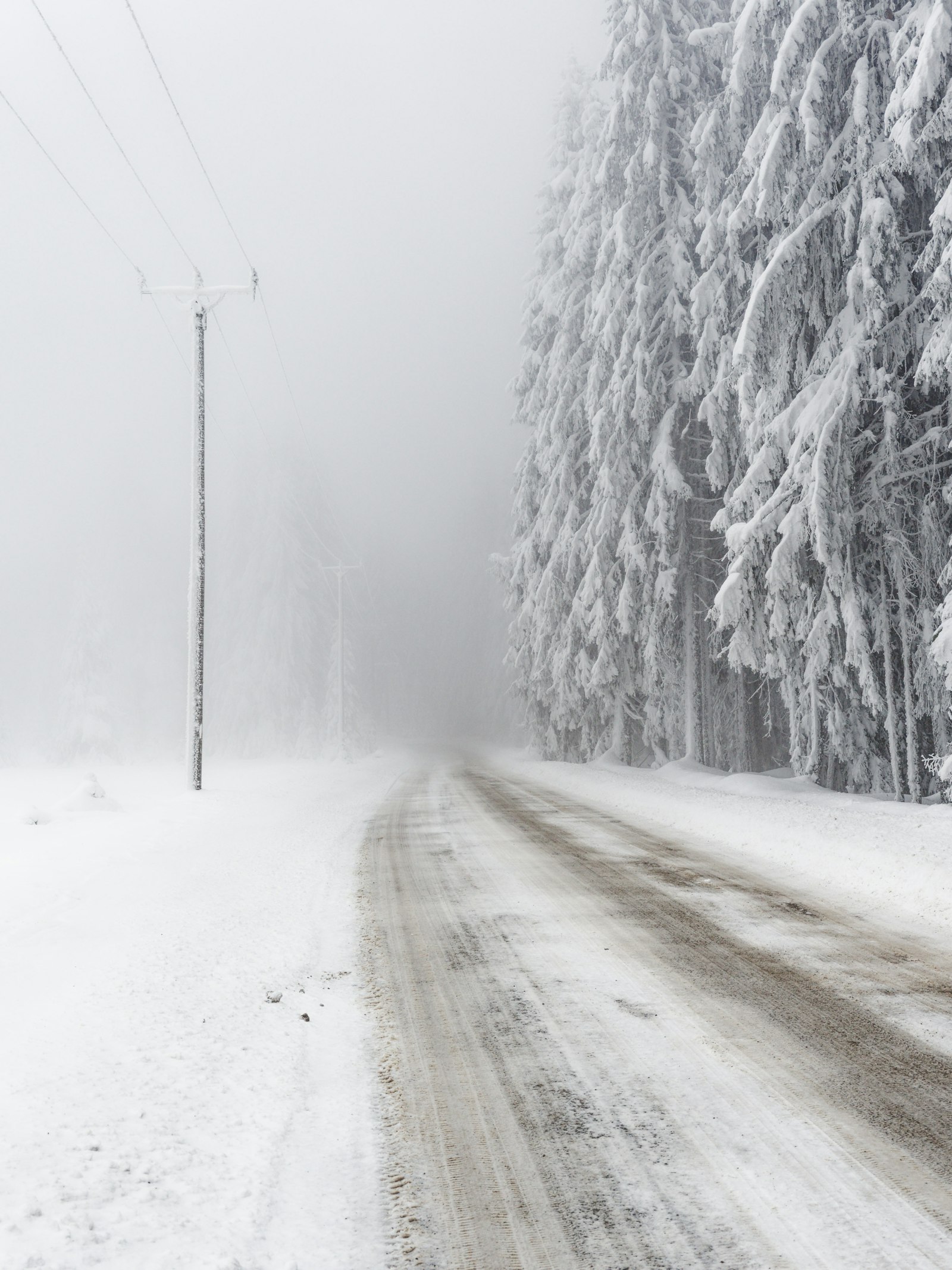 Snow-covered road with power lines